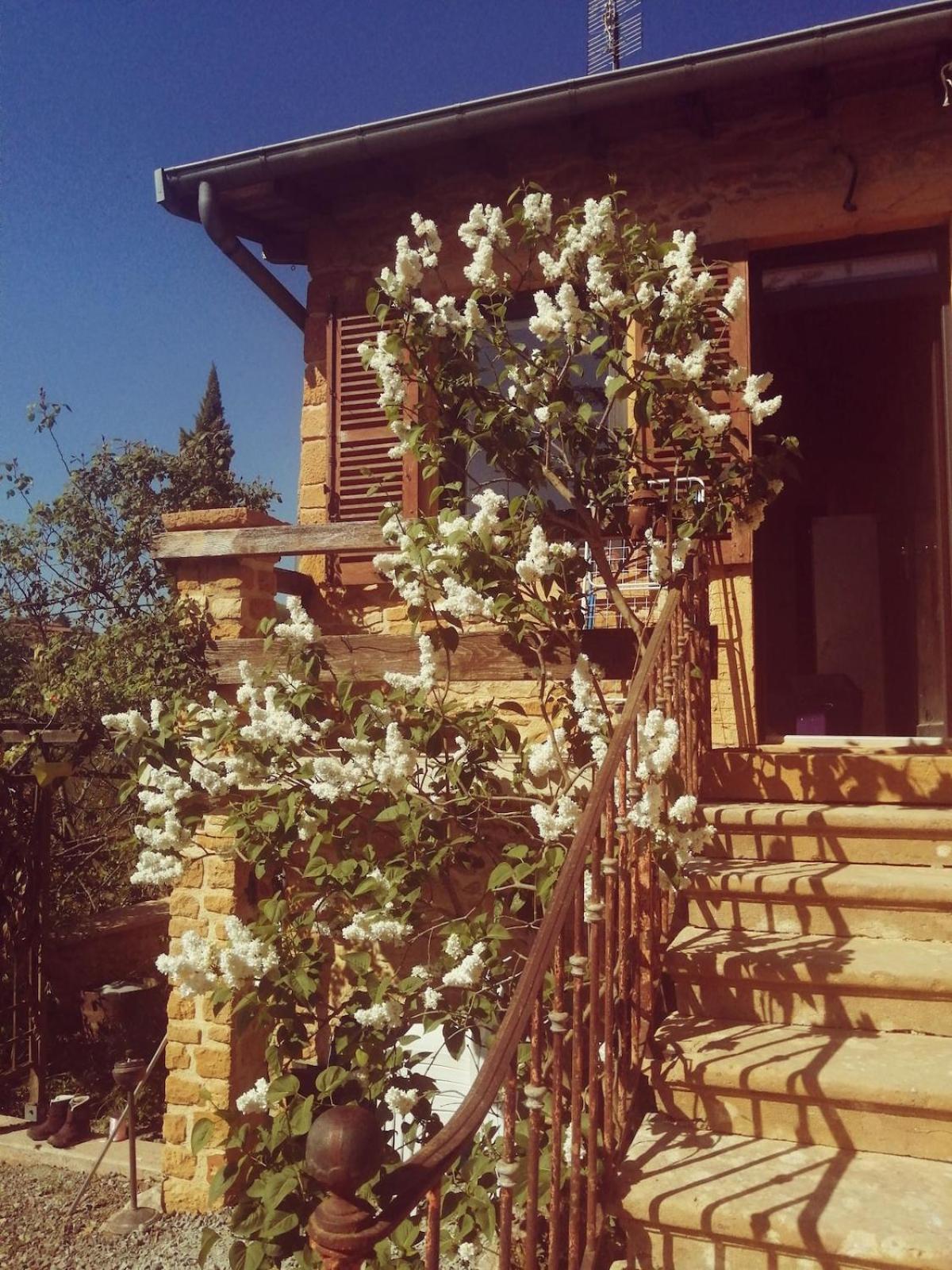 Une Evasion Dans Les Pierres Dorees Moire Exterior foto